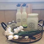 Metaxas Λιμενάρια